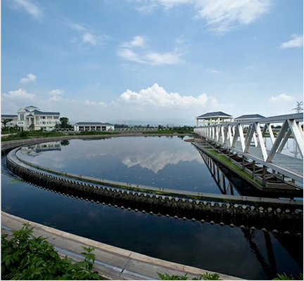 Status and future development of sludge drying technology