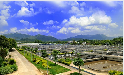 Analysis and Application of Sludge Low Temperature Heat Pump Drying Technology